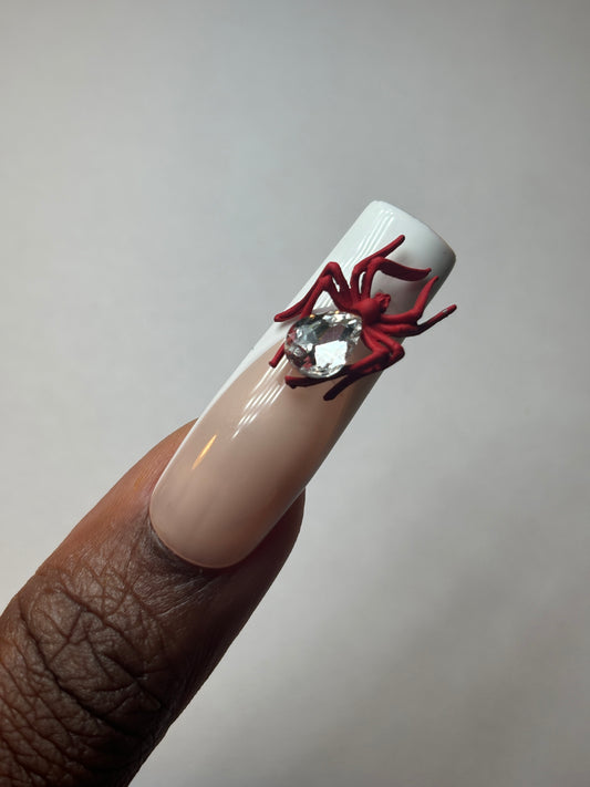 Spider 🕷️